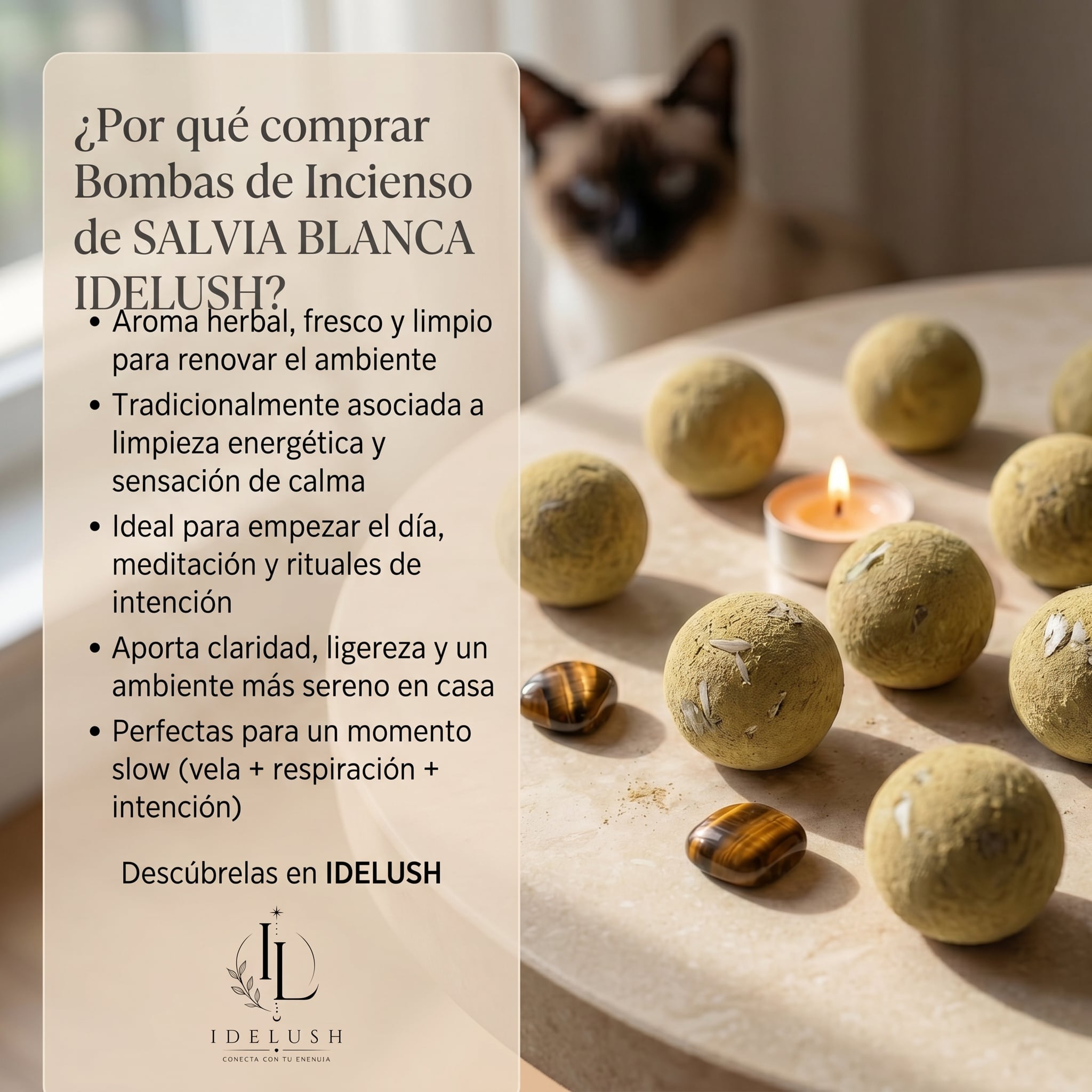 Bombas de Incienso de Salvia Blanca Premium · Incluye Quemador